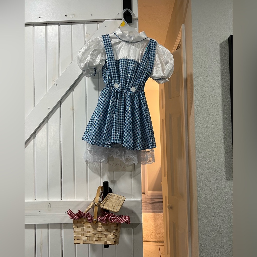 Rubie's Blue and White Dorothy Costume Sequin Dress